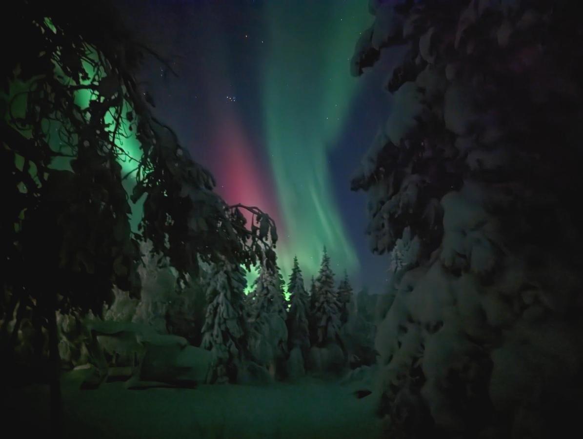 Lapland Snow Cabin Masugnsbyn Dış mekan fotoğraf
