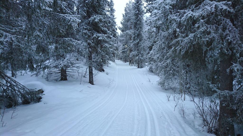 Lapland Snow Cabin Masugnsbyn Dış mekan fotoğraf