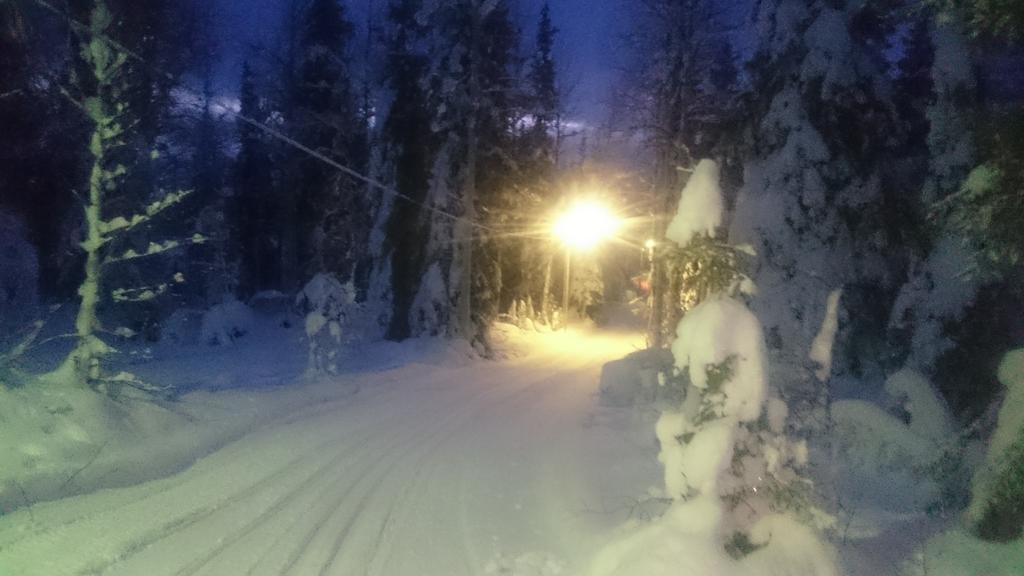 Lapland Snow Cabin Masugnsbyn Dış mekan fotoğraf