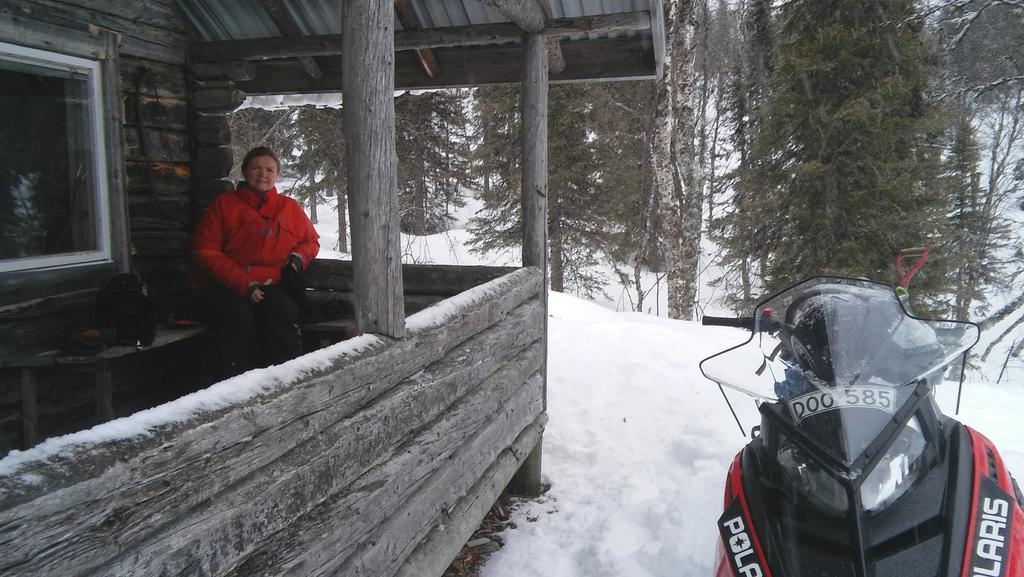 Lapland Snow Cabin Masugnsbyn Dış mekan fotoğraf
