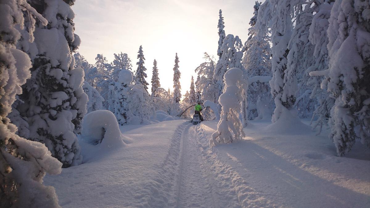 Lapland Snow Cabin Masugnsbyn Dış mekan fotoğraf