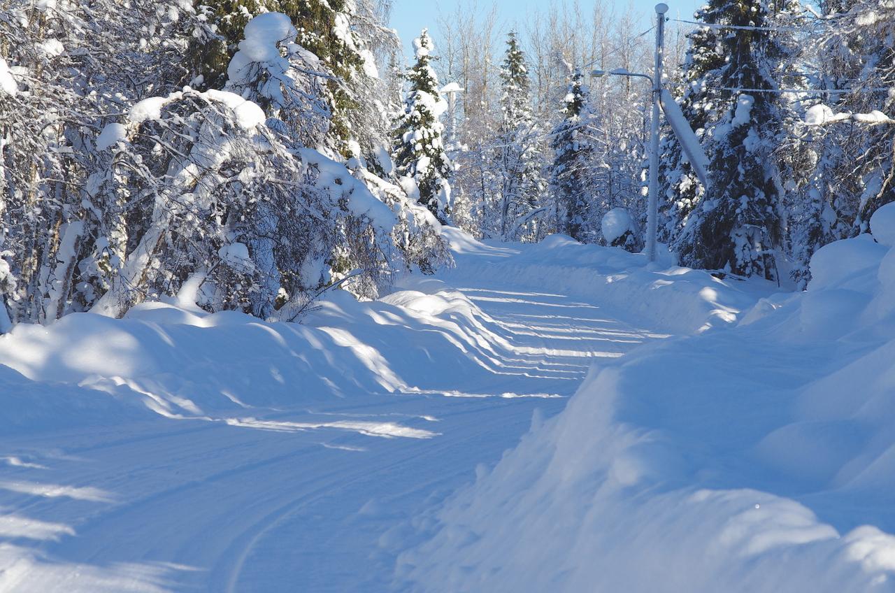Lapland Snow Cabin Masugnsbyn Dış mekan fotoğraf